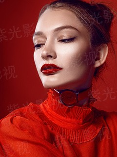 陆阳桃夭叶最新免费阅读