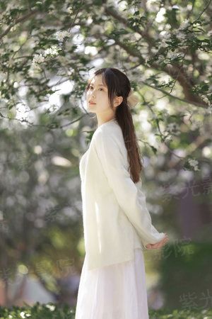 八零年小月亮