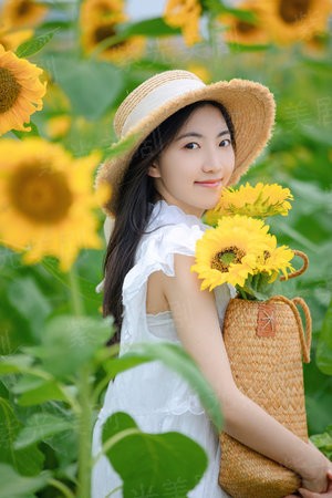第四动物管理局