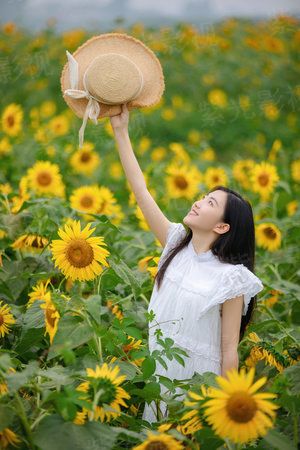 苍痕：崛起